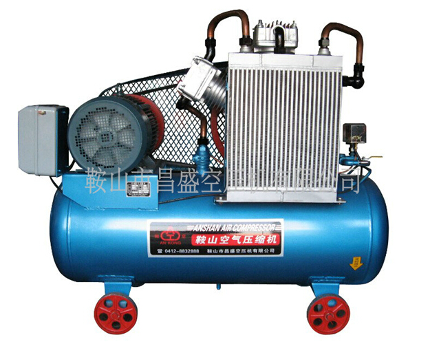 空壓機(jī)細(xì)分市場(chǎng)發(fā)展?fàn)顩r分析。